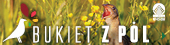 bukiet z pół